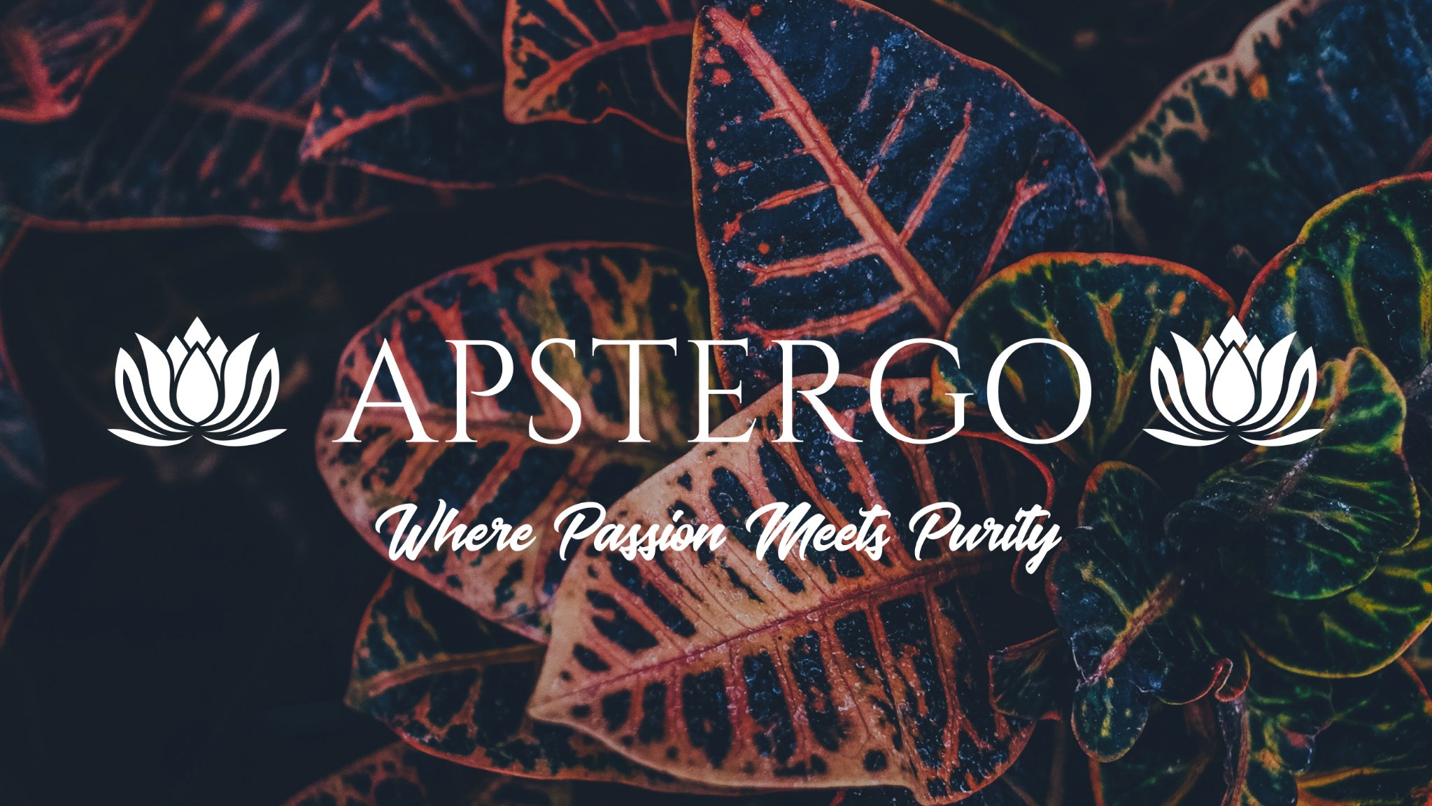 APSTERGO banner with white lotus marks and the tagline Where Passion Meets Purity over dark tropical leaves
